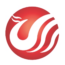 分析九洲(中国)的成功案例与市场影响力